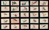 1912-1927年英美烟草公司红锡包《吉祥鸟》香烟画片二十五枚二全套